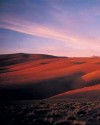 Camino al Tatio