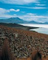 Surire Salt Flat