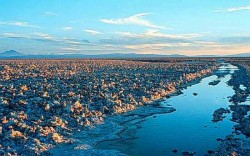 Laguna Chaxa