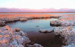 Lagunas Altiplánicas