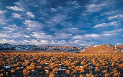 Maricunga Salt Flat