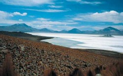 Surire Salt Flat