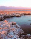 Desert Lagoons