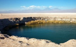 Ancient Medicine in San Pedro de Atacama