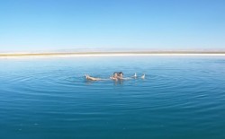 Ancient Medicine in San Pedro de Atacama