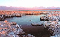 Lagunas Altiplánicas