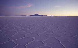 Atacama Salt