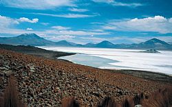 Salar de Atacama