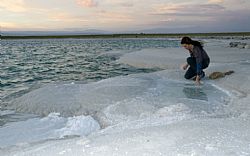 Atacama Salt