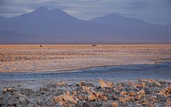 Salar de Atacama