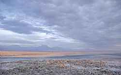 Atacama Salt