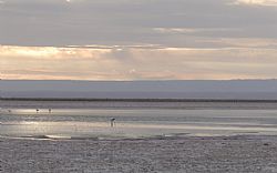 Salar de Atacama