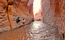 San Pedro de Atacama: Aventura en el Desierto