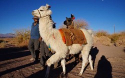 Ancient San Pedro de Atacama in Semiprivate