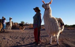 San Pedro de Atacama Ancestral en Semiprivado