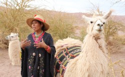 Caravana Ancestral San Pedro de Atacama