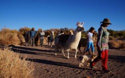 San Pedro de Atacama Ancestral en Semiprivado