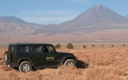 Experiencia a la medida en Hotel Awasi