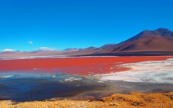 Travel to the Uyuni Salt Flat