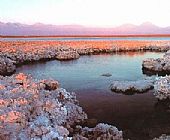Altiplanic Lagoons