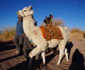 San Pedro de Atacama Ancestral en Semiprivado