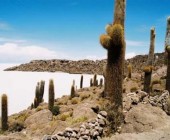 Uyuni Salt Flat Express